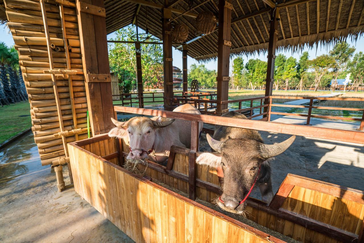 The Buffalo Amphawa Samut Songkhram Exteriér fotografie
